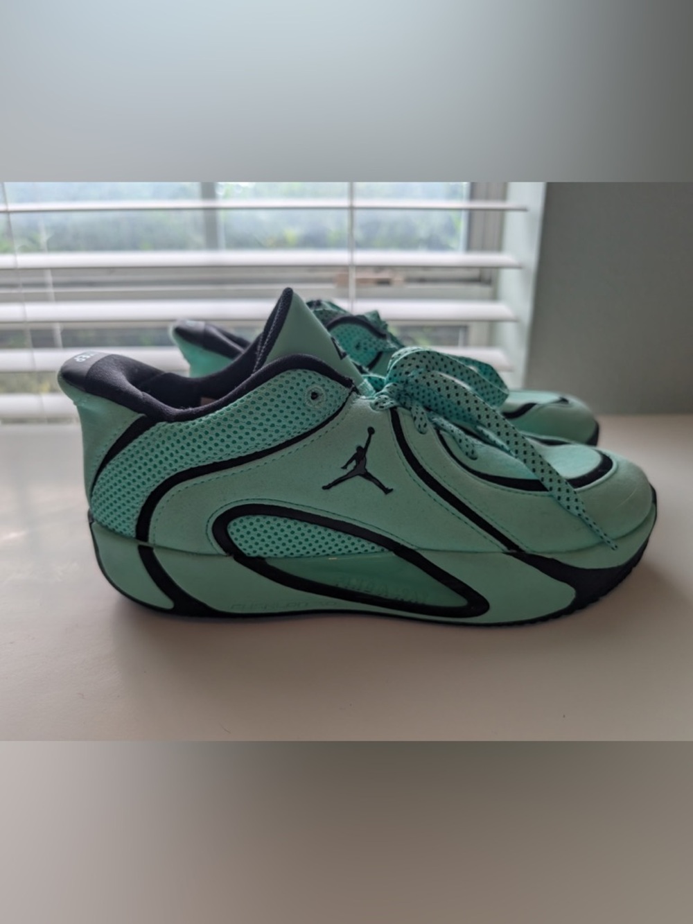Jordan Mint Green Low-Top Sneakers with Black Trim